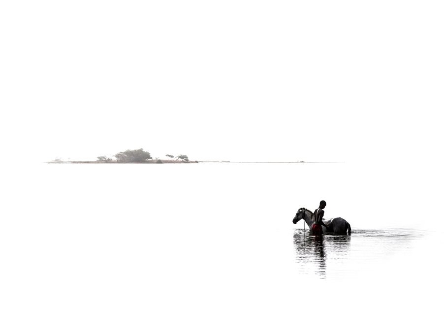 Tim Freccia — documentary (image 01)