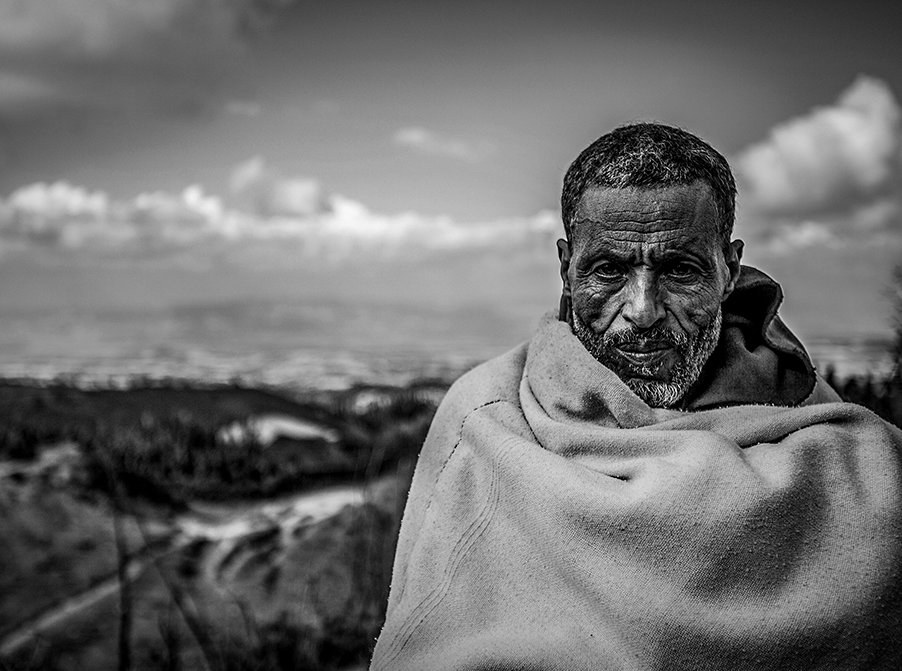 Tim Freccia — portrait (image 39)