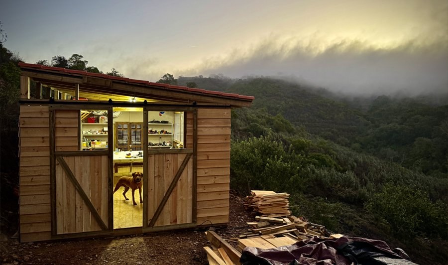 Studio Building — exterior at dusk
